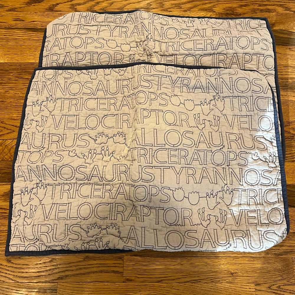 Restoration hardware kids pillowcase